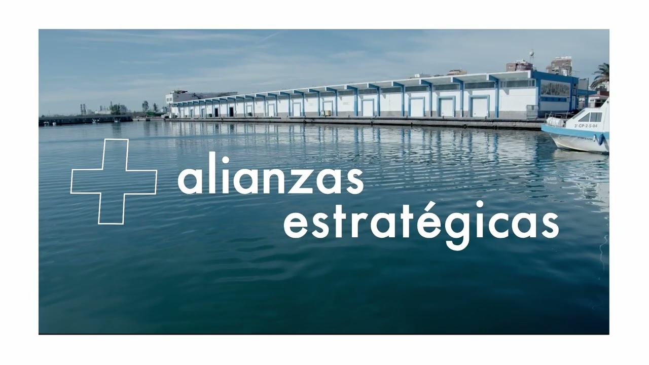 Video corporativo 2023