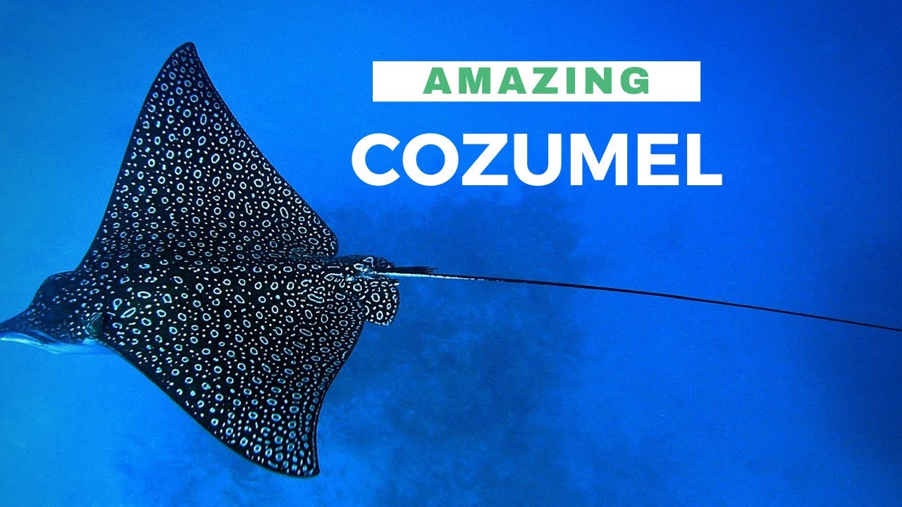 AMAZING COZUMEL