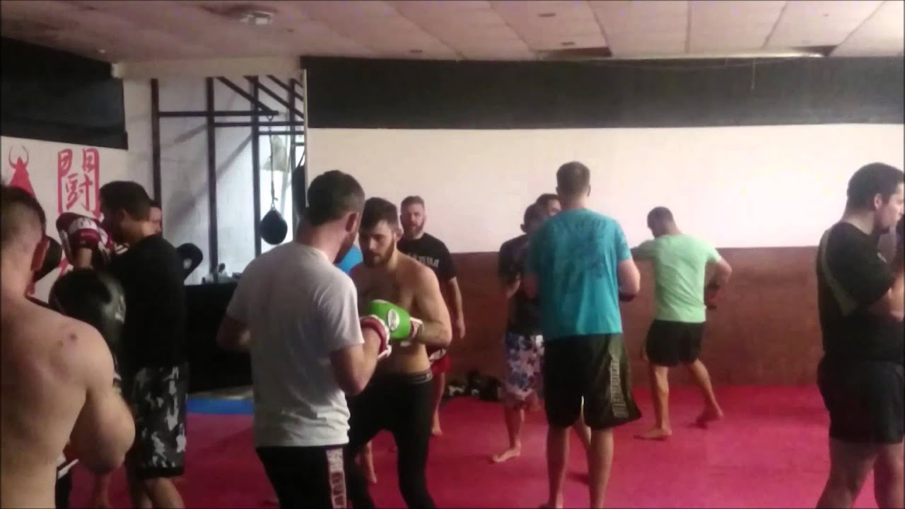 The dojo
