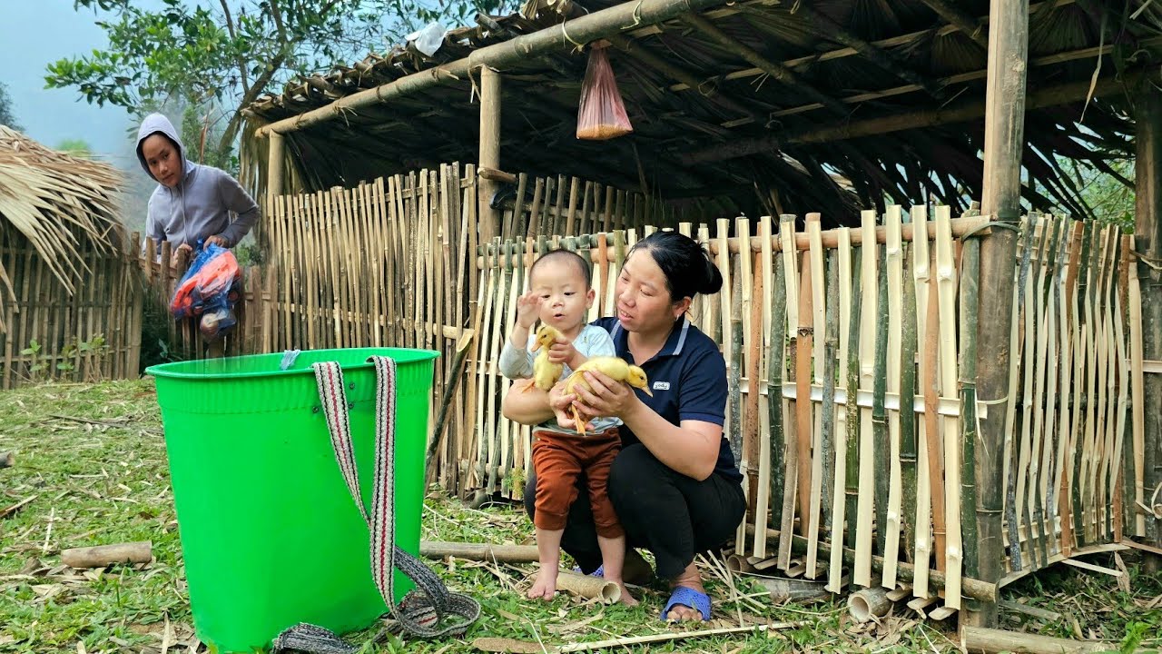 Chopping Bamboo To Build a Duck Coop, The Life of a Homeless Mother And Child