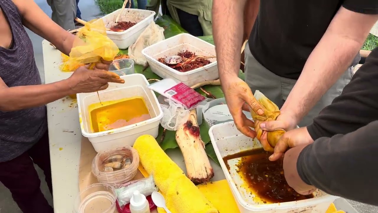 Ancient Hawaiian Kapa making workshop 