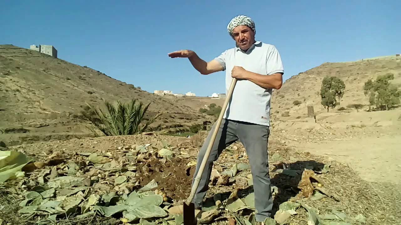 طريقة عمل السماد العضوي المخمر (الكومبوست)