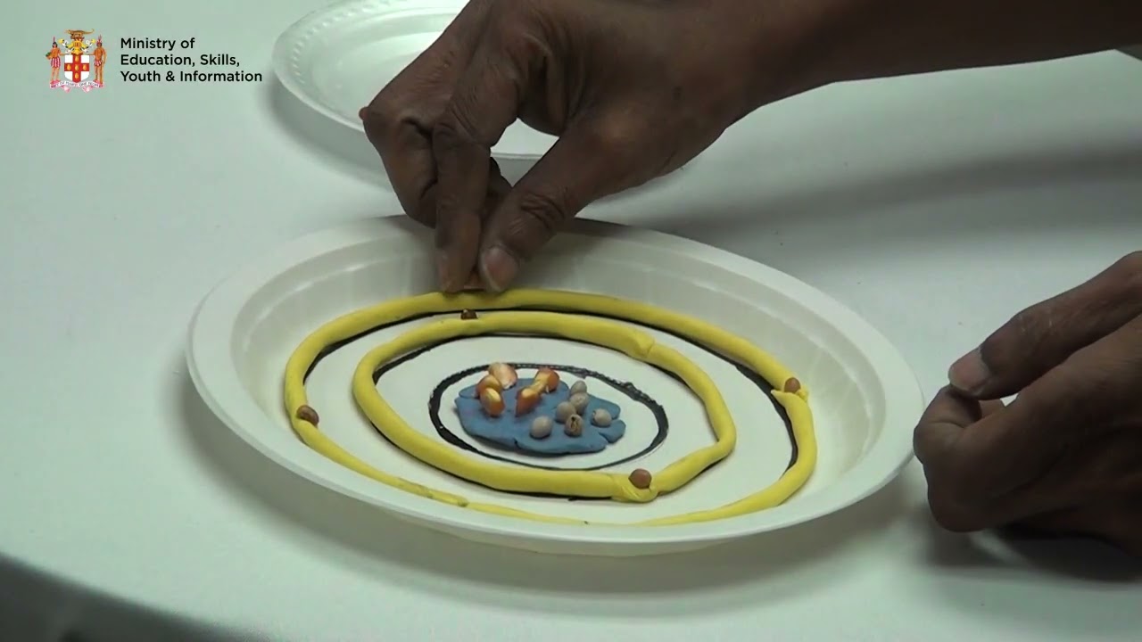 CSEC Chemistry    Exploring The Atom