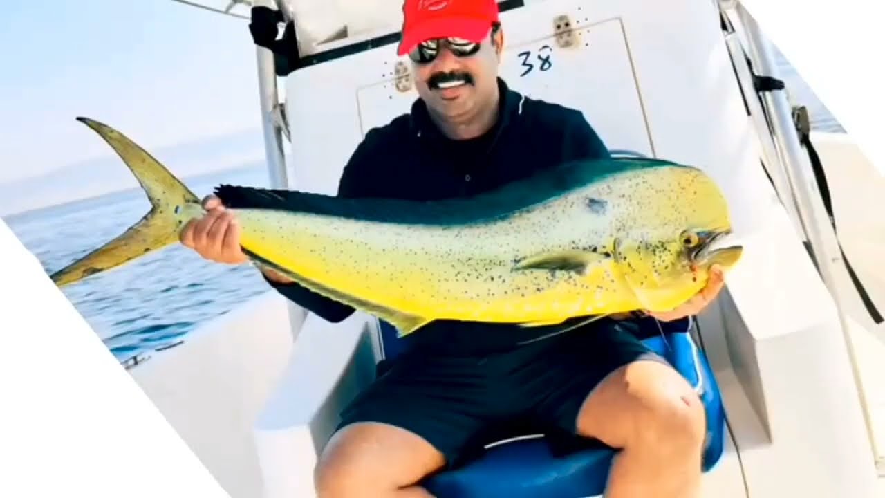 Finally found Blue Whale🐳                              #tre #travel #travelvlog #subscribe 