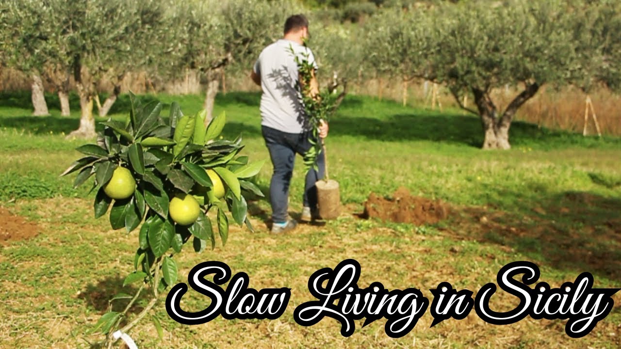 Cosy Days In Italian Countryside: Slow Living Vlog