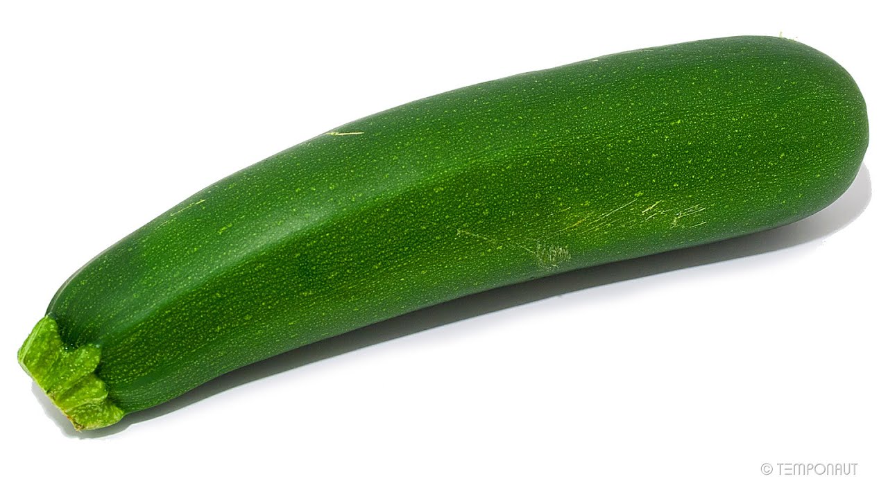 Zucchini Time Lapse