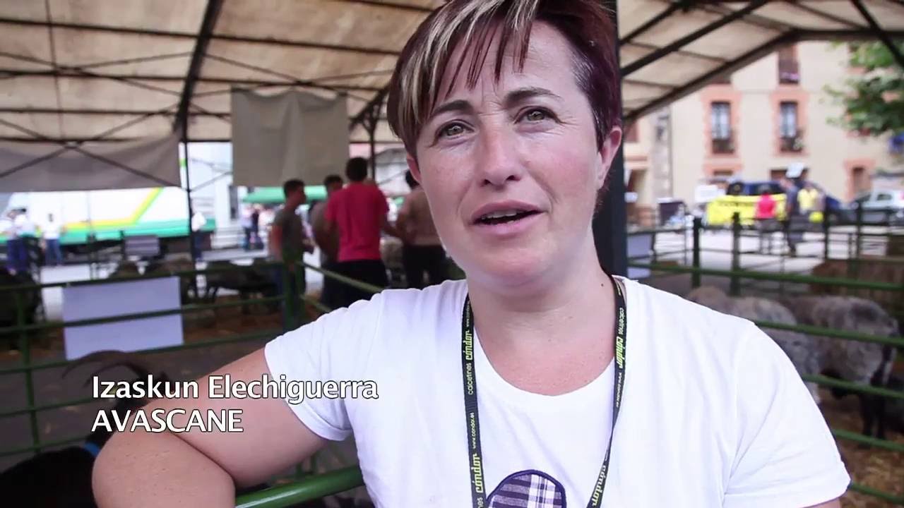 II Monografico Oveja Carranzana Cara Negra 2015