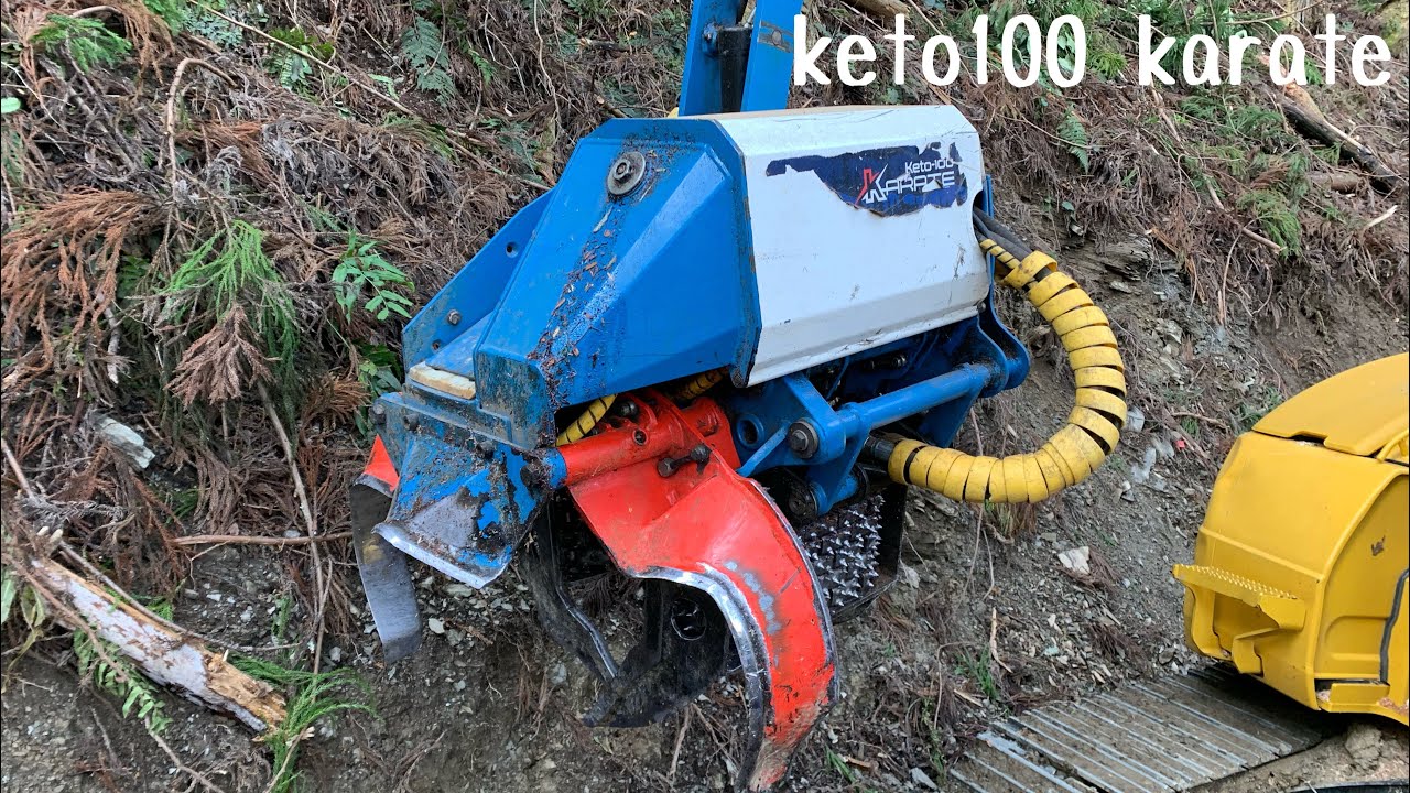 keto100 karate ハーベスタ