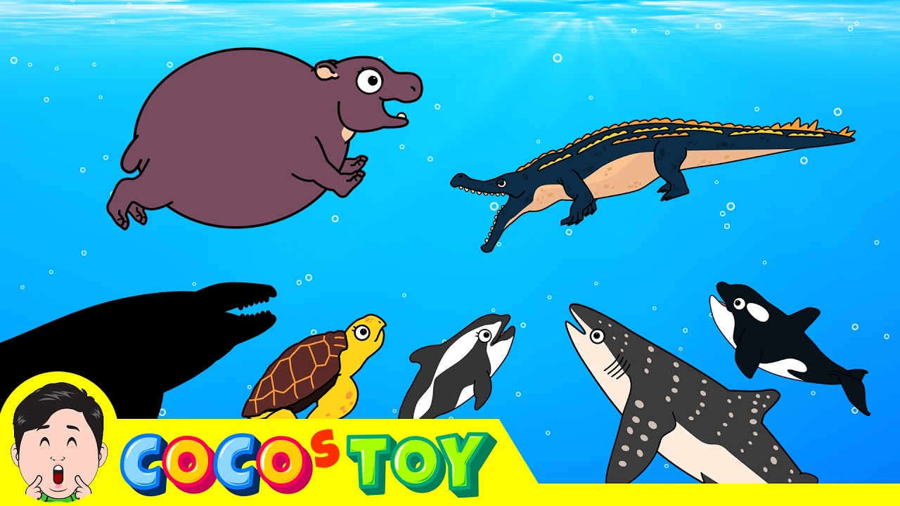 60минутㅣЛучшая коллекция хорошо сделанных рассказов CoCosToy 3ㅣкиты и акулы для детейㅣCoCosToy