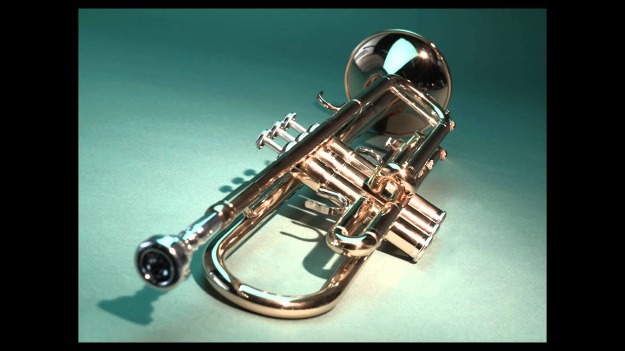 Fanfara Gloria Bujac - Gottfried Auf Riesen ( Bassflugelhorn - Tenorhorn SOLO )