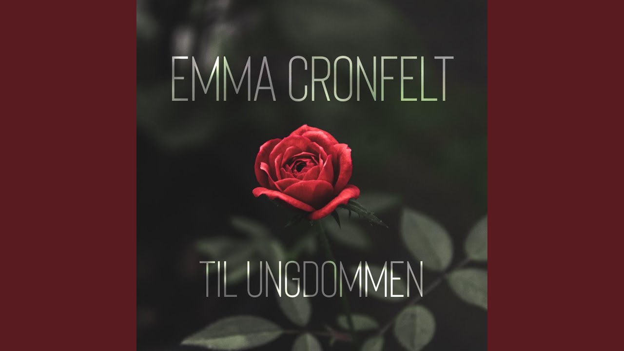 Til Ungdommen