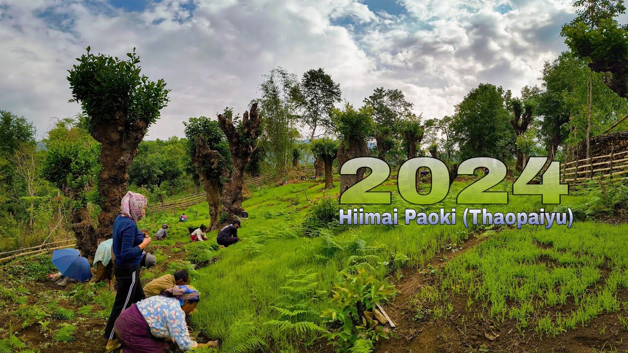 2024 Purul (Hiimai) Paoki wrestling Night