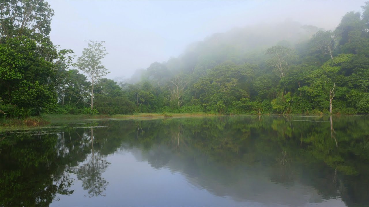 Maquenque Wildlife Reserve - Costa Rica's little known paradise: