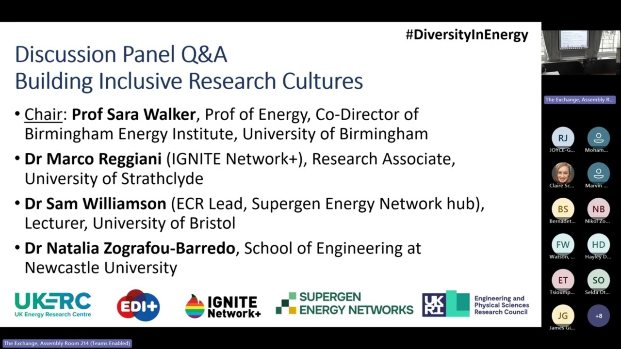 EDI in Energy Research: From Theory into Practice - Panel Discussion