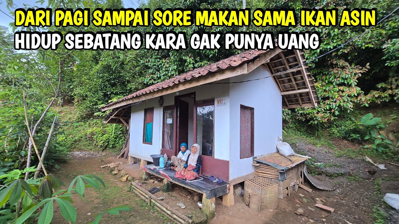 Terjadi Lagi ..Nenek Hidup Sebatang Kara Di Pinggir Hutan Gak Punya Uang & Beras