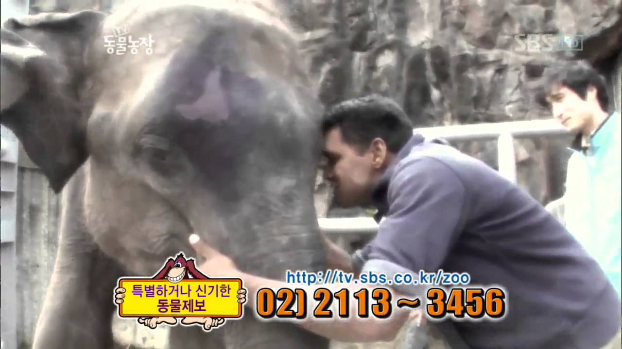TV 동물농장 482회_13