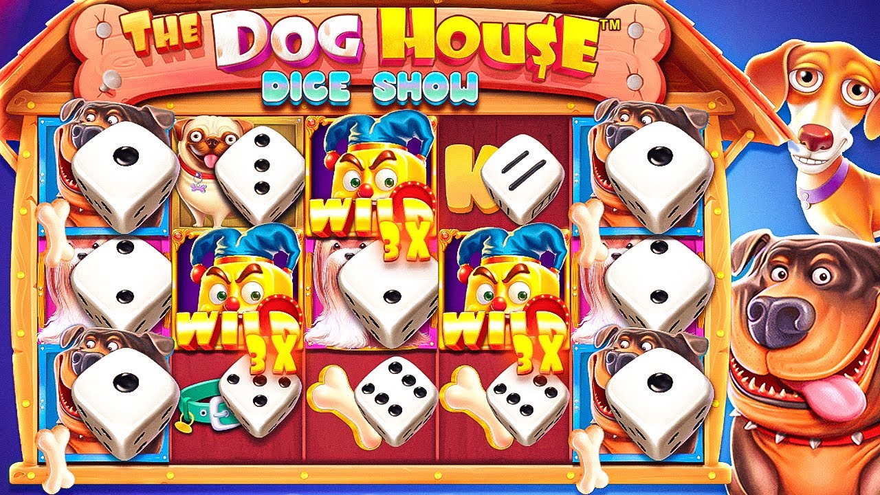 МОЯ ЛУЧШАЯ СЕССИЯ в THE DOG HOUSE DICE SHOW!!! ЭТО БЫЛО НЕОЖИДАННО