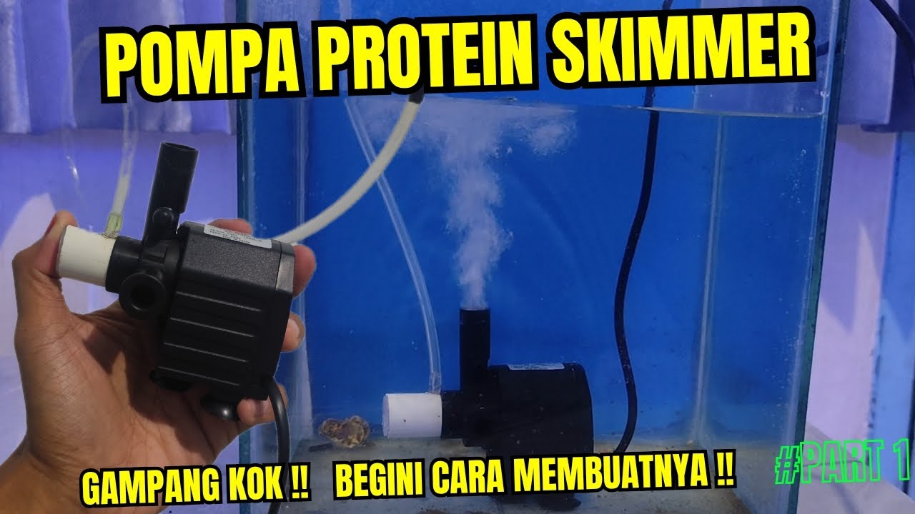 CARA MEMBUAT POMPA PROTEIN SKIMMER !! AQUARIUM AIR LAUT - REEF TANK !