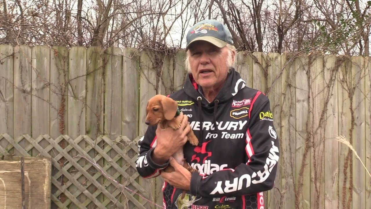 2024 Happy Thanksgiving from Dan Galusha and Barney