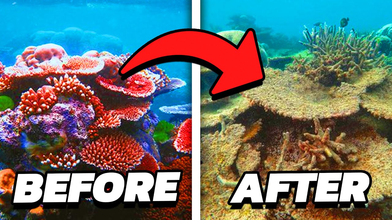 Top 10 Places to Visit Before they DISAPPEAR!