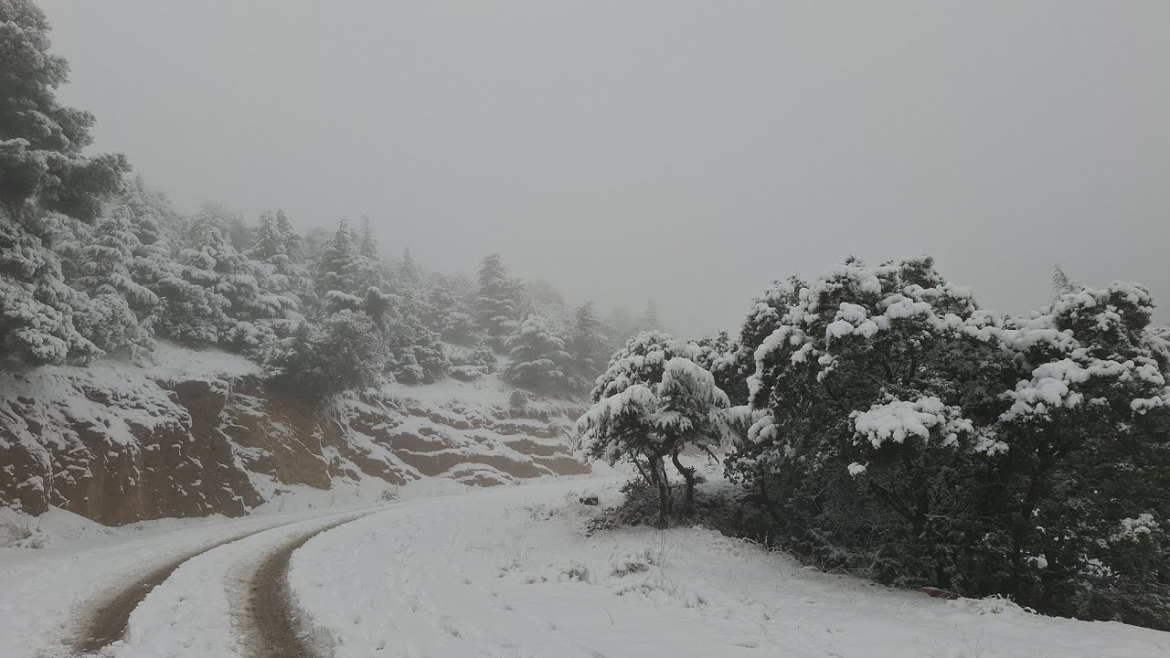 ثلوج كثيفة 🌨 على الطريق الرابط بين الرصفة والحامة بولاية سطيف |#setif #algeria 