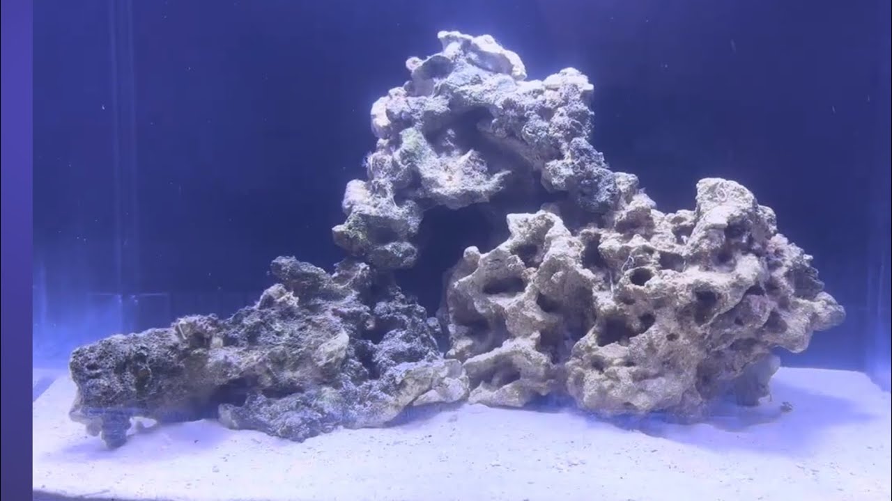 I upgraded my neptunian cube t45