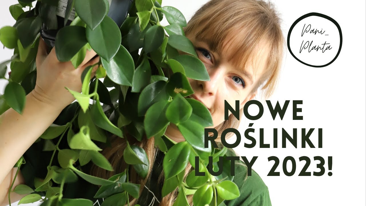 Nowe roślinki!