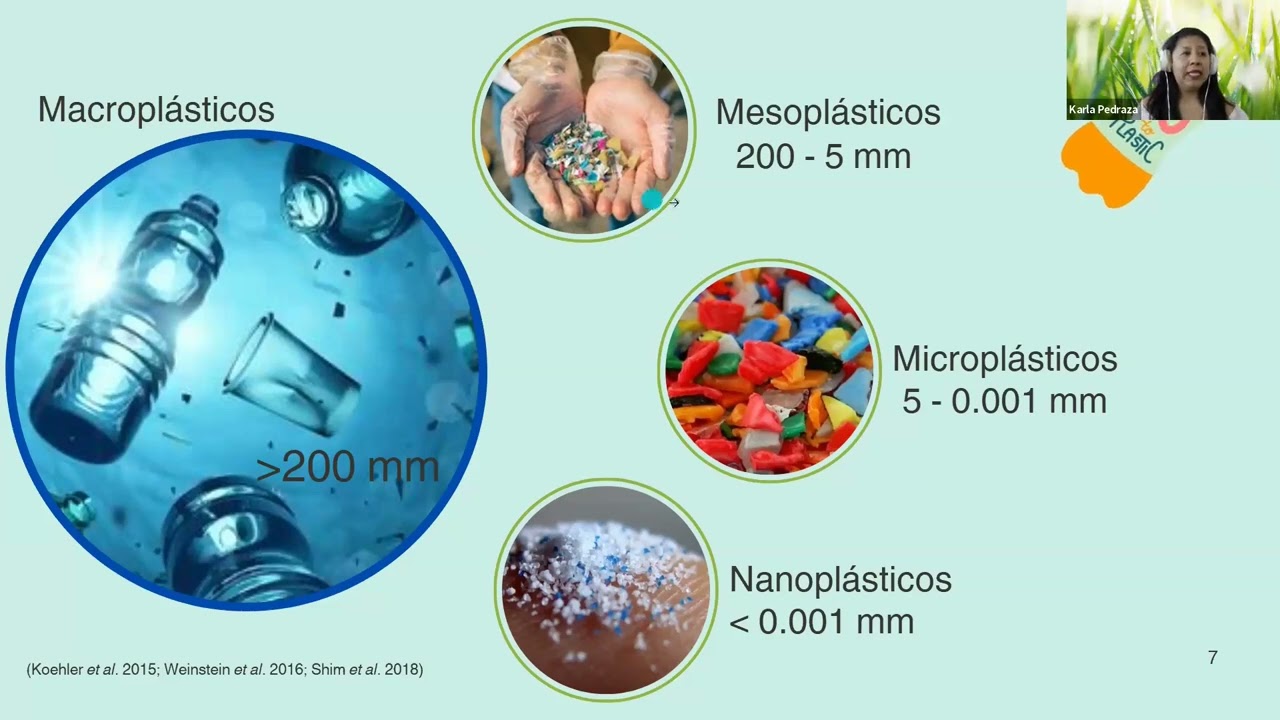 Microplásticos en pastos marinos