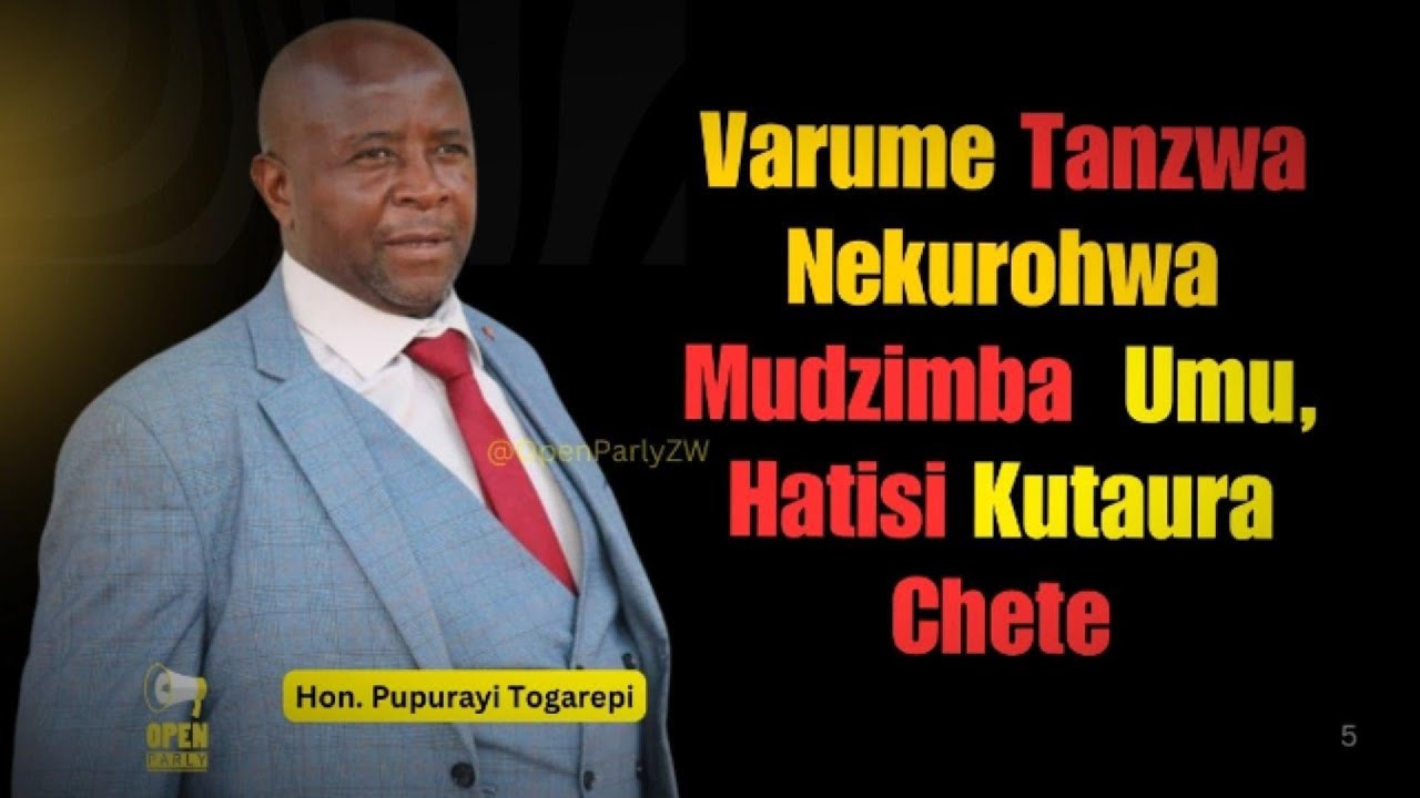 Parliament Yaudzwa Kuti Vanhurume Vanzwa Nekurohwa Mudzimba