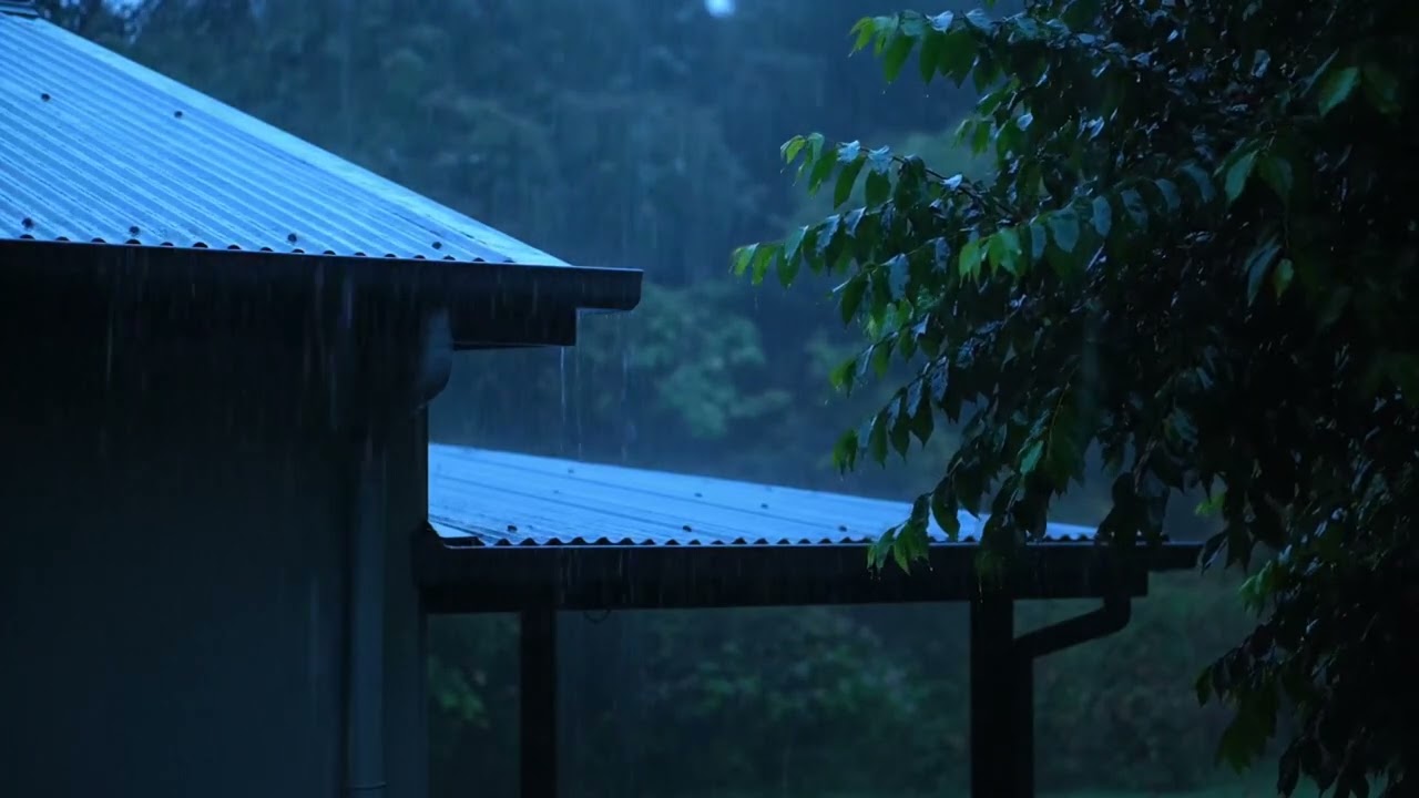 Soothing Rain on Tin Roof 🌧️ Deep Sleep White Noise - Relaxing Rain for Studying