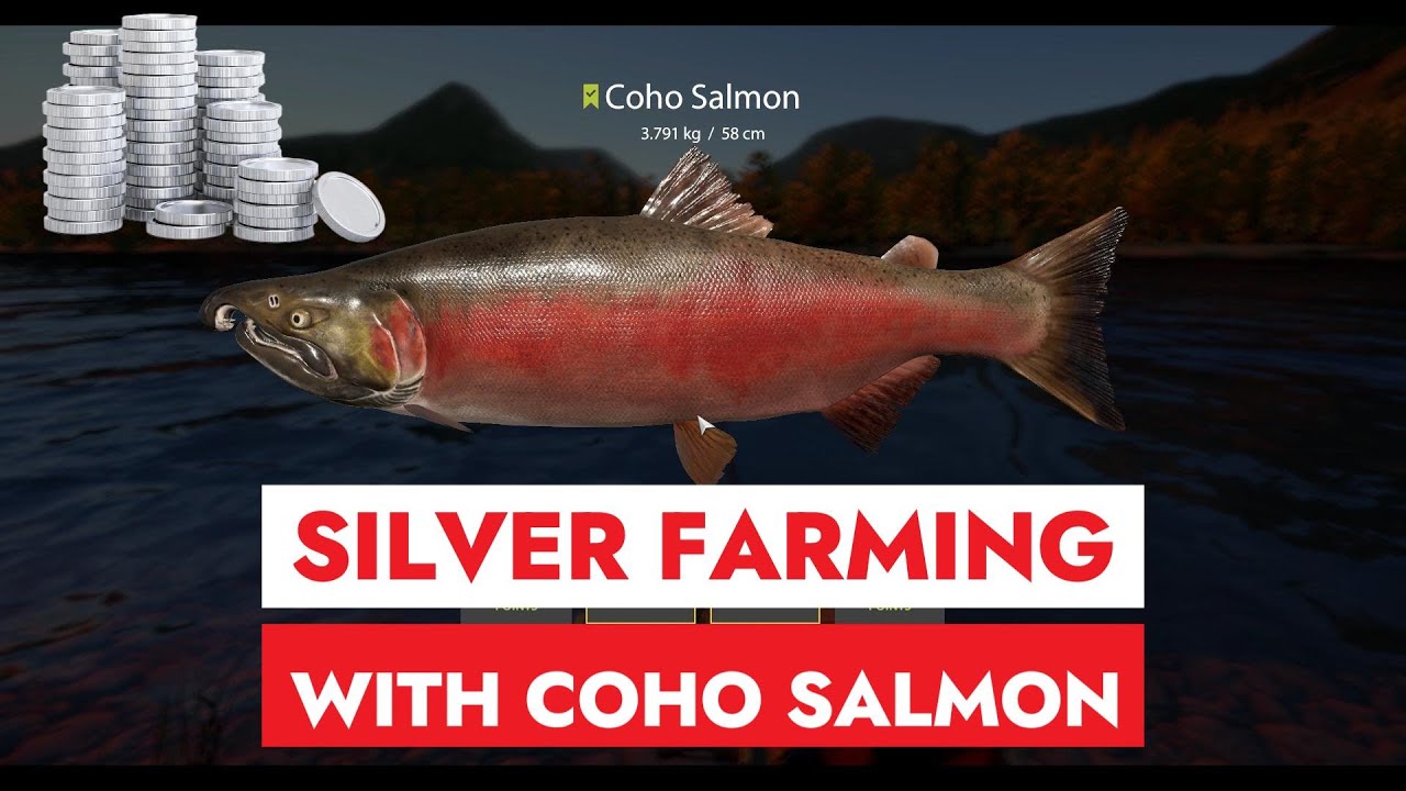 RUSSIAN FISHING 4 - YAMA - SILVER FARMING WITH COHO SALMON AND ONE NICE CHINOOK SALMON