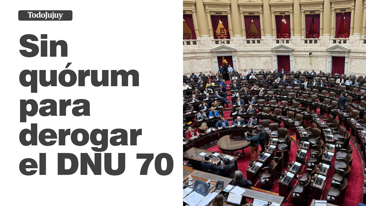 Sin qu&oacute;rum en Diputados: no se trataron el DNU 70/2023, discapacidad y deudas familiares