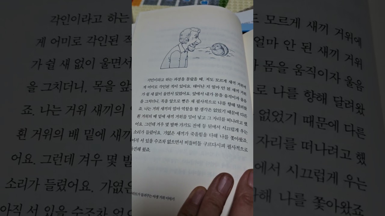 책읽기- 콘라트가 들려주는 야생 거위 이야기   #문해력 #이중언어 #한국어능력 #다문화 #국어 #야생 거위