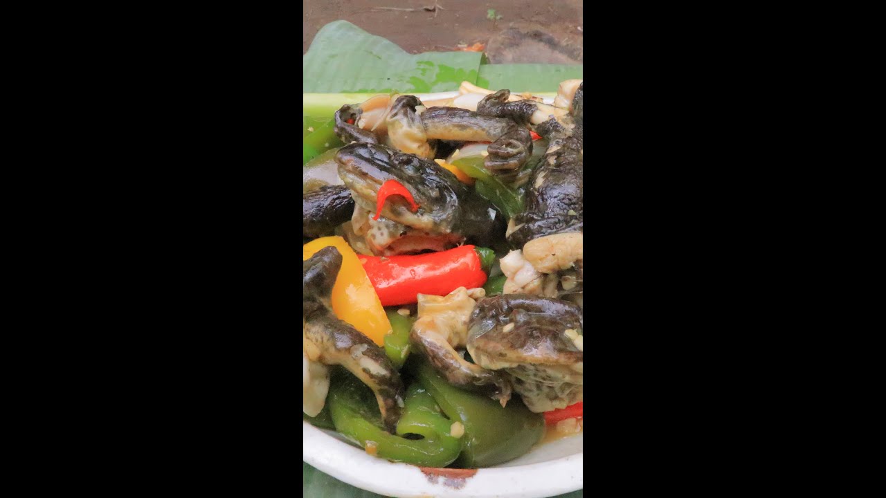 Special frog recipe, so delicious #cooking #eating #yummy #food #delicious #shorts