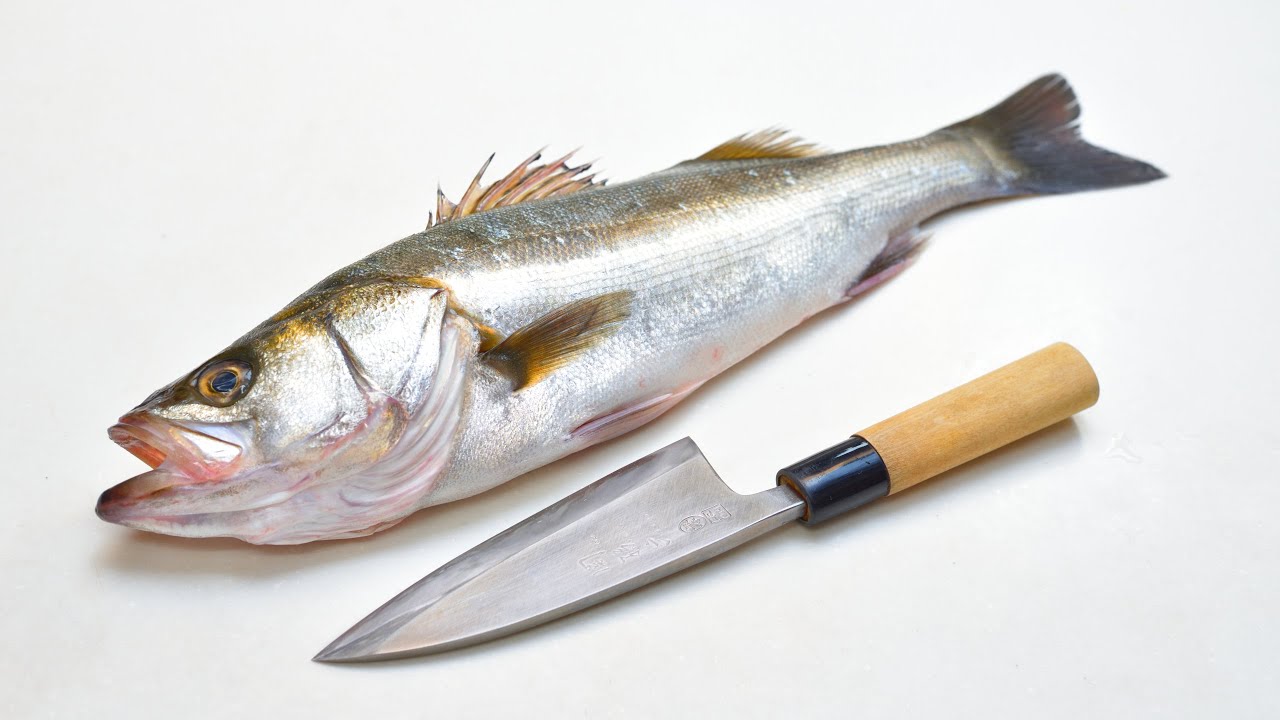 関孫六 出刃包丁で鱸（スズキ）を捌く Filleting Fish