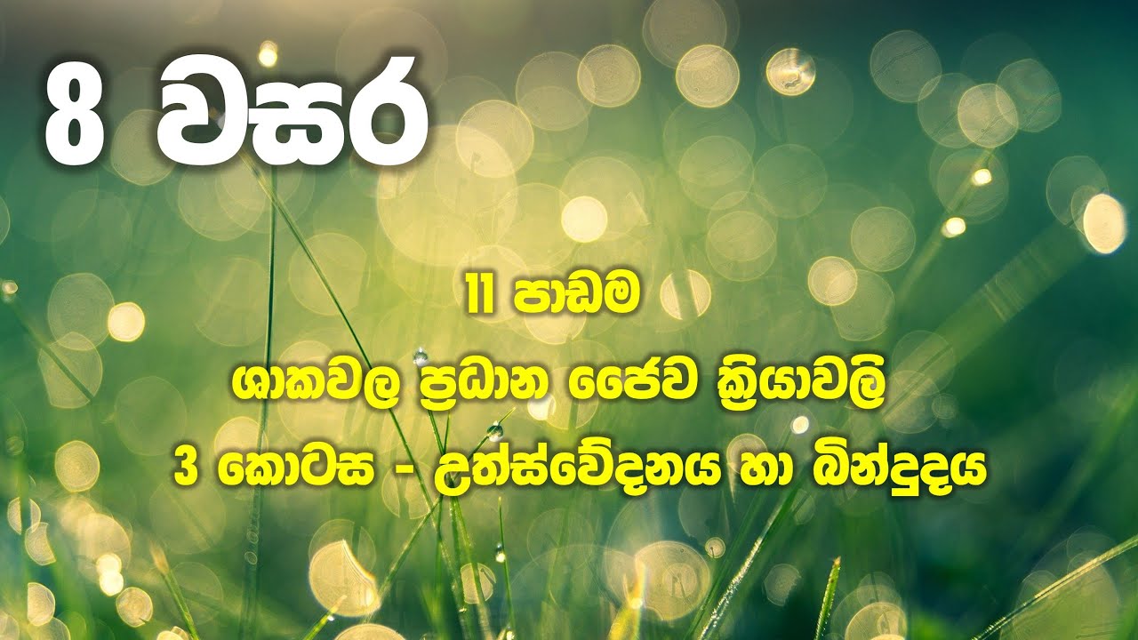 Grade 8 Science | Unit 11 Part 3 | Transpiration Guttation | ශාකවල ප්‍රධාන ජෛව ක්‍රියාවලි 3 කොටස