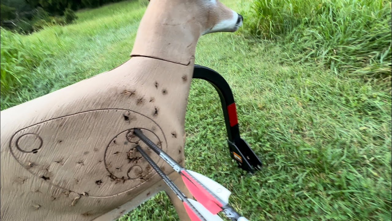 Shooting the Tenpoint Viper S400 with the sig BDX scope