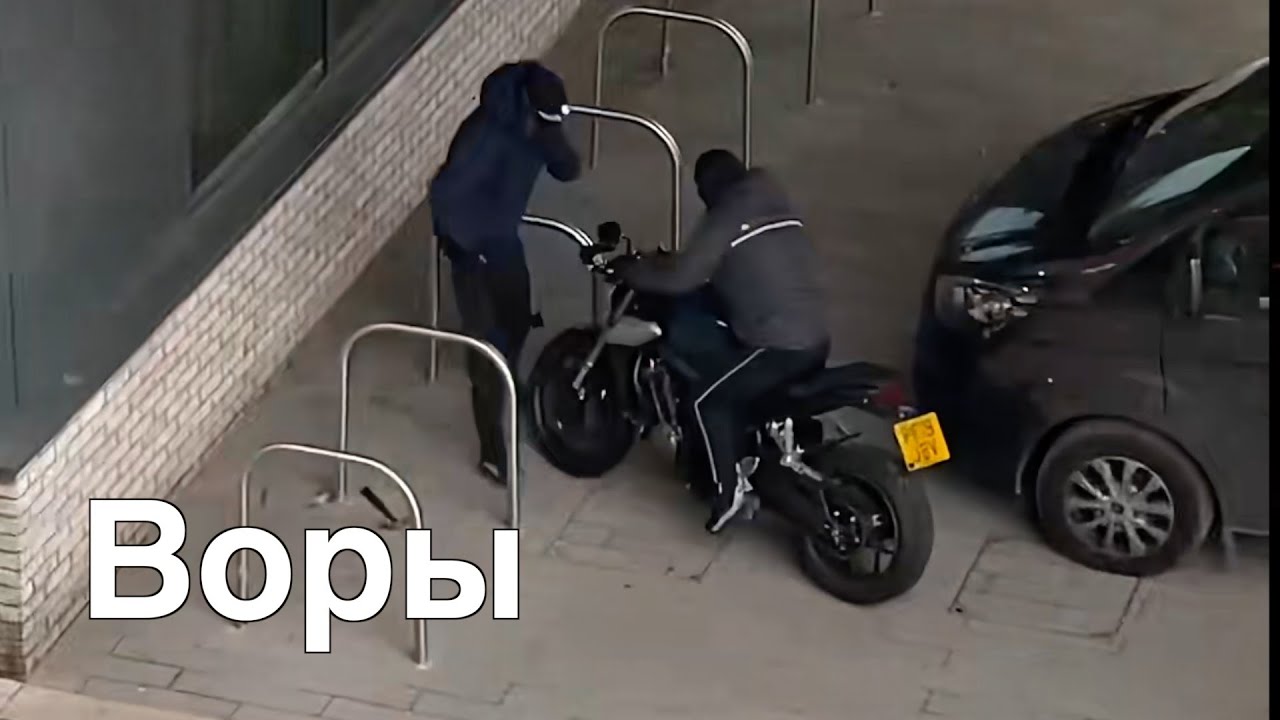 Гении криминала… которых сняли камеры