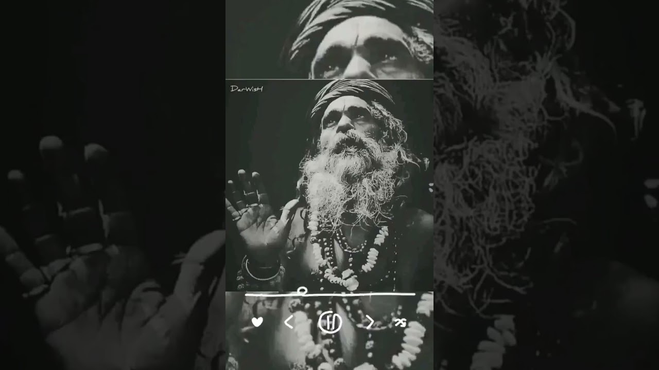 توله غمگین