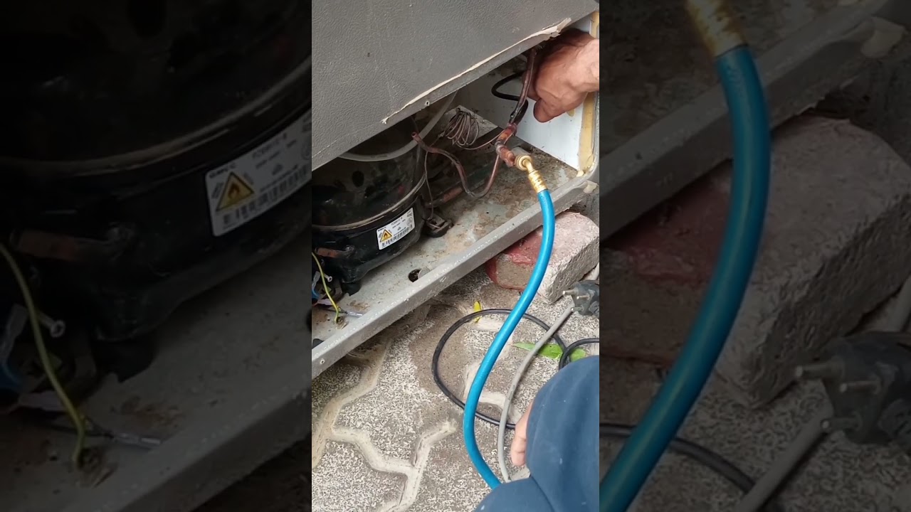 Flushing Deep Freezer