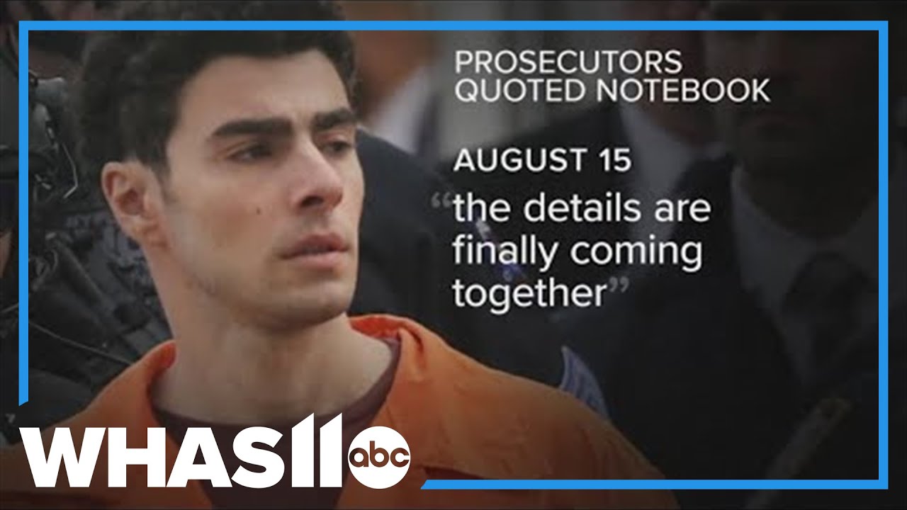 Entries from Luigi Mangione's notebook read aloud in court