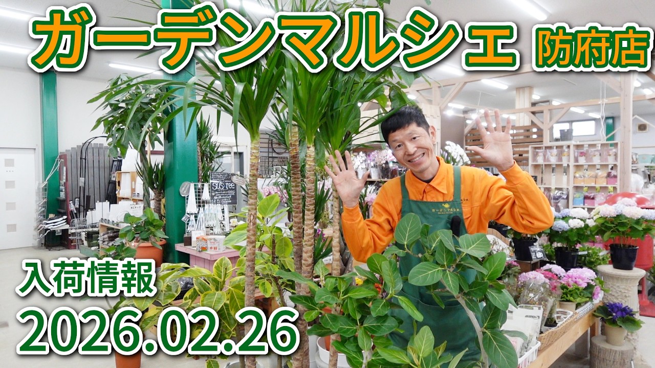 2026年2月26日 ガーデンマルシェ防府店 今週の入荷情報