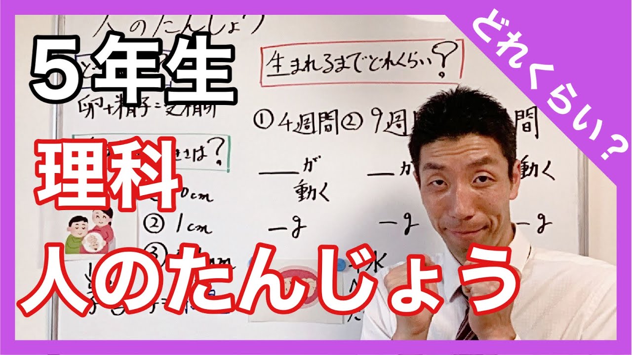 理科　人のたんじょう　どれくらい？　５年生