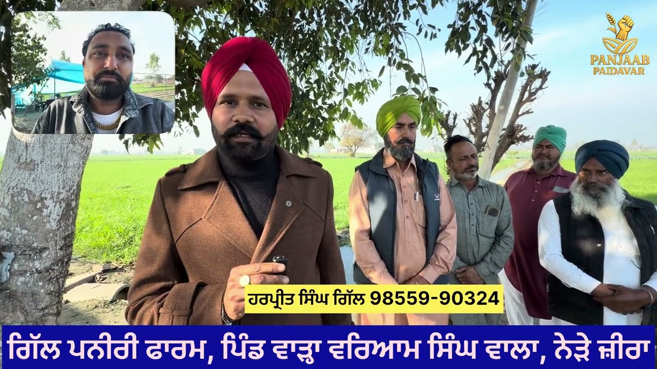 ਗਿੱਲ ਨਰਸਰੀ ਜ਼ੀਰਾ ਪੂਰੀ ਟੋਪ ਦੀ ਪਨੀਰੀ ਮਿਲਦੀ ਆ ਏਥੇ 