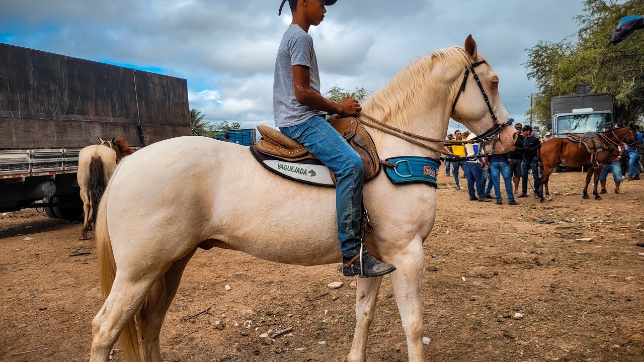 FEIRA DE CAVALO DE CARUARU PE, TERÇA FEIRA, 26.12.23