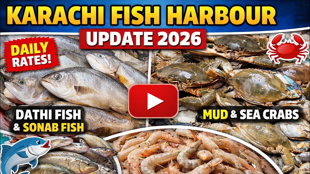 🔥 Today Karachi Fish market Update 🐟🍤🦀 | Fresh Fish, Prawns & Crabs Rates 2026