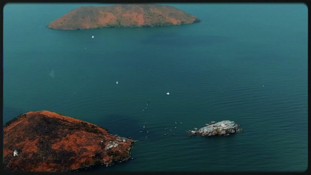 MIGINGO: Życie na Najbardziej PRZELUDNIONEJ i BIEDNEJ Wyspie Świata!