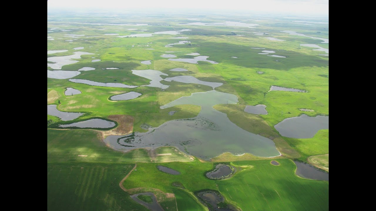 Developing divergent, plausible, relevant climate futures for near- and long-term resource planning