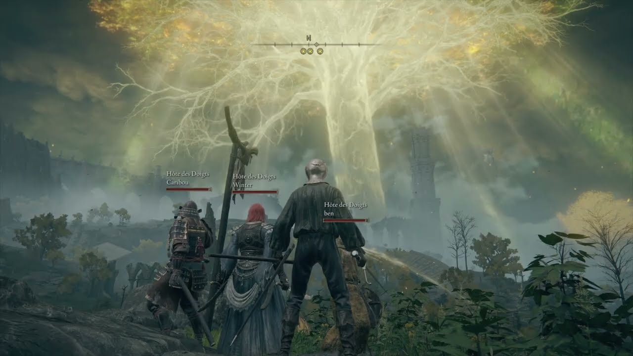 Soirée chill sur Elden Ring entre potes !  (mod coop)