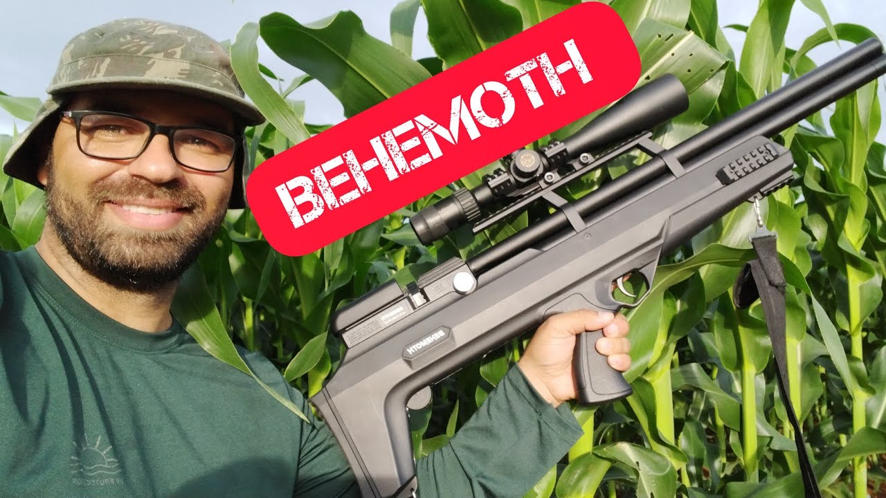 Papo reto sobre a behemoth 5.5